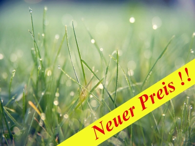 MyReal Immobilien